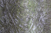 Whiterow fibreglass roof work